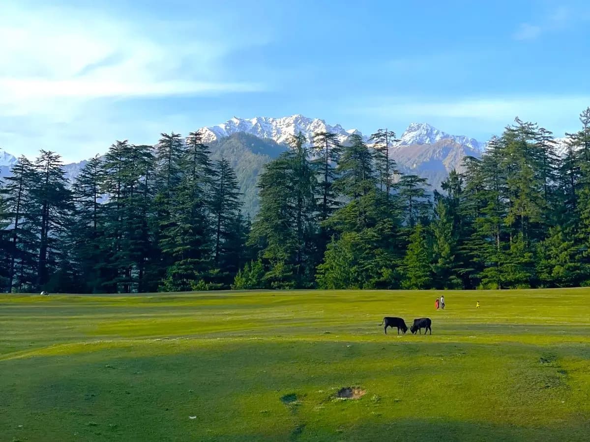 Manali